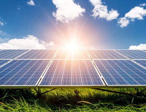 Industrias que aprovechan al máximo la energía solar