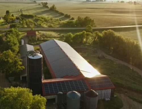 Instalación solar con paneles fotovoltaicos para efectivo ahorro energético en procesos lácteos complejos