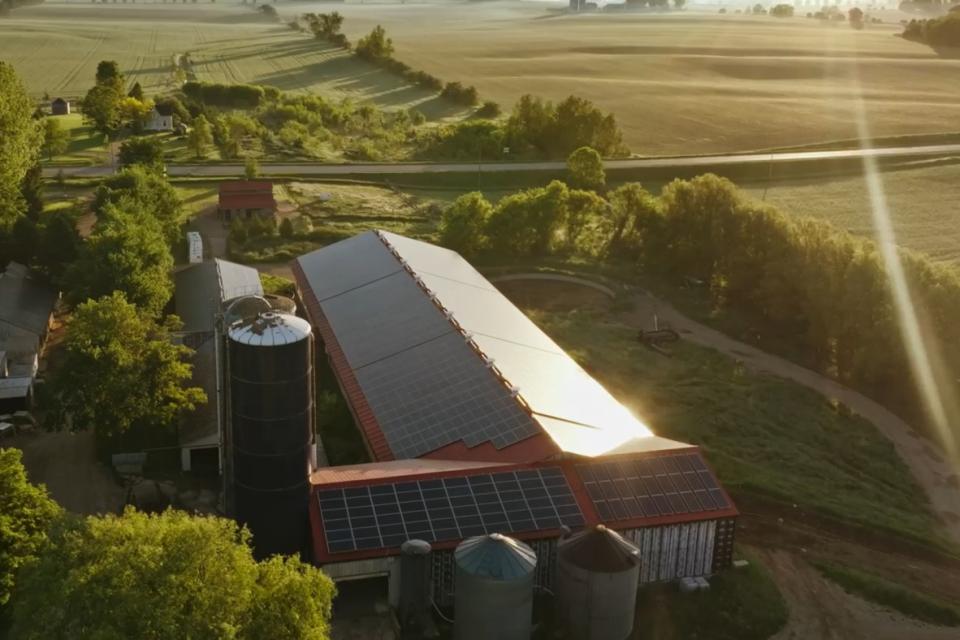 Instalación solar con paneles fotovoltaicos para efectivo ahorro energético en procesos lácteos complejos